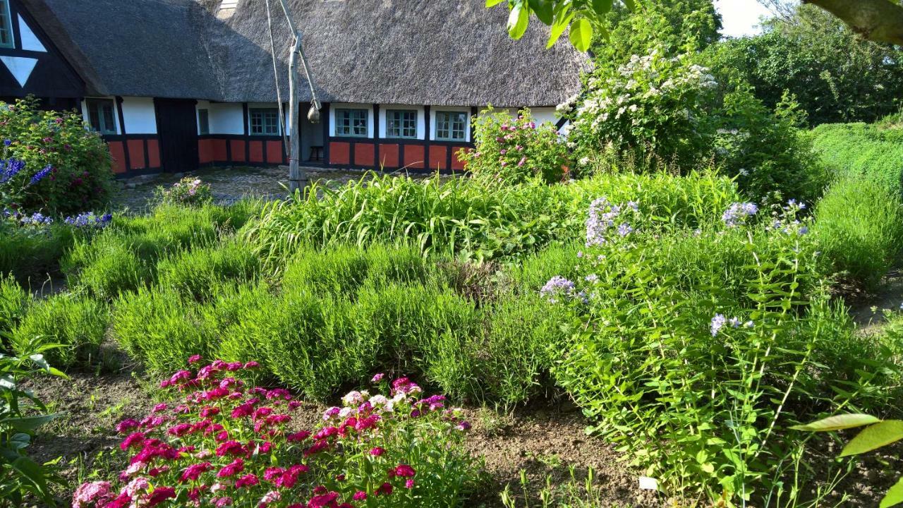 Thurup Hus Асенс Екстериор снимка